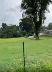 Tanglin Hill (D10), Detached #589839471